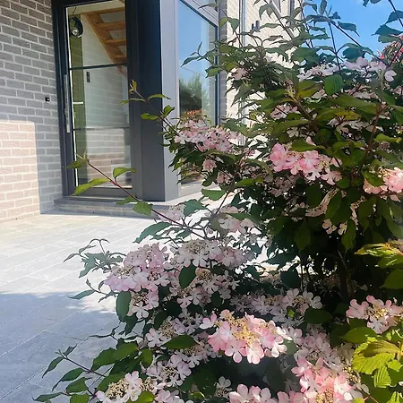 Maison Familiale A ディナン